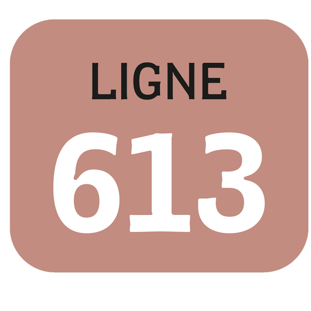 Ligne BreizhGo 613