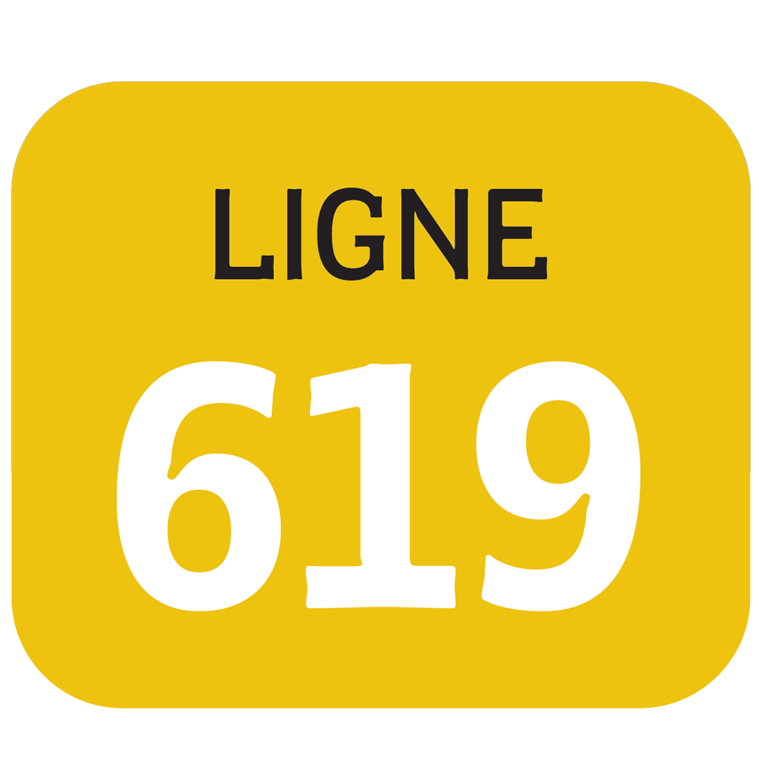 Ligne 619 BreizhGo