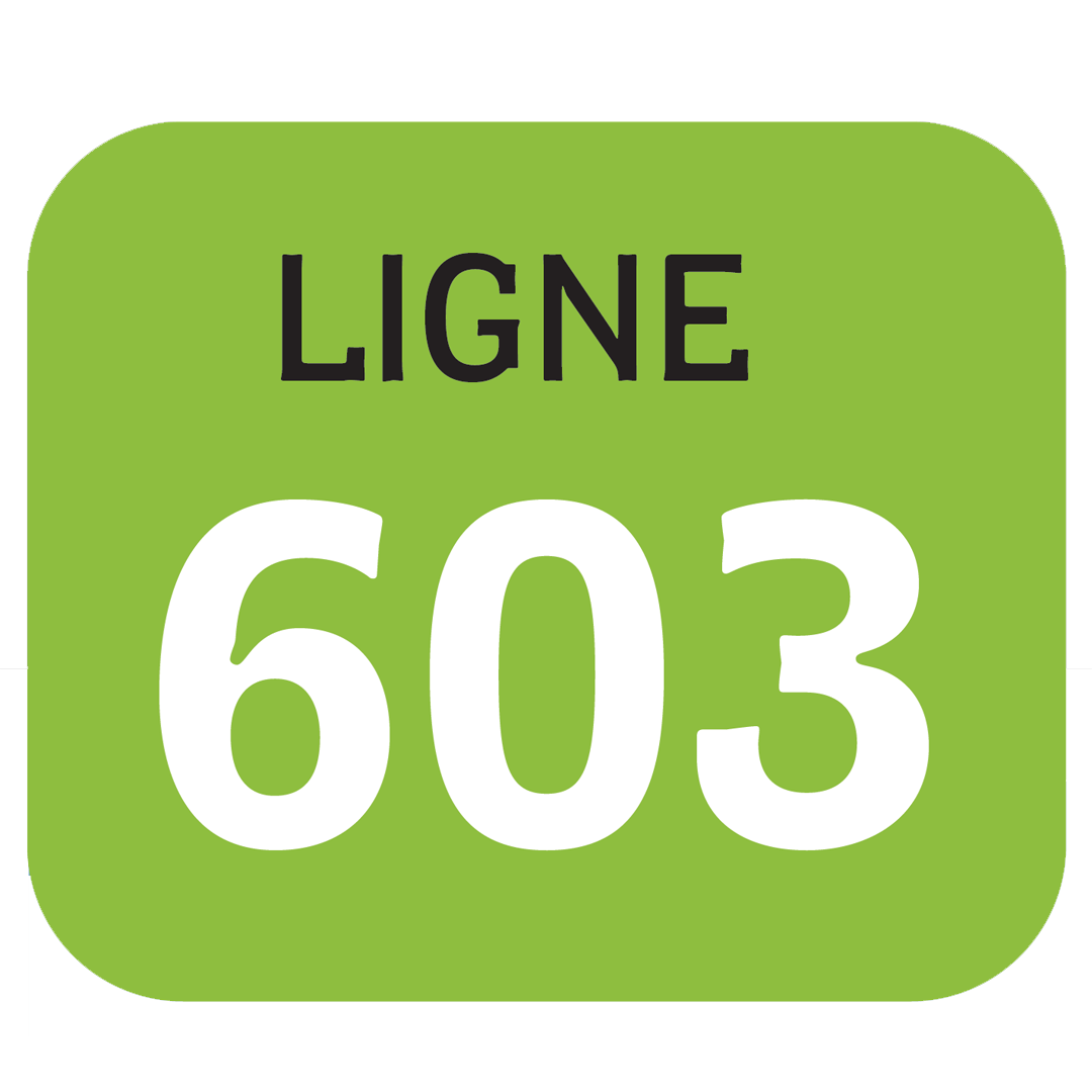 Ligne 603 Breizhgo